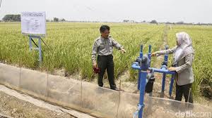 Potensi Irigasi Hemat Air